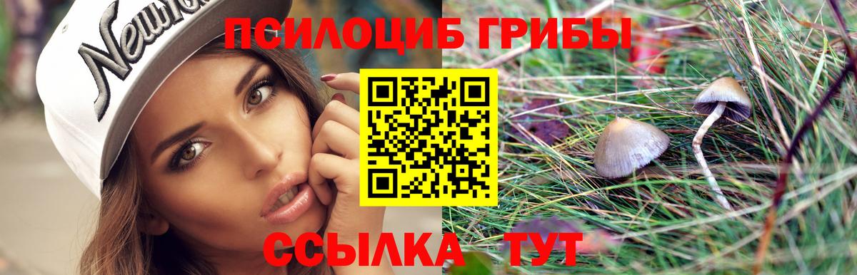 Зеленогорск  Псилоцибиновые грибы GOLDEN TEACHER  купить   Вход с VPN 
