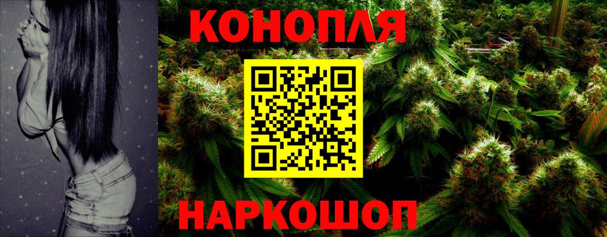 Канабис ГИДРОПОН  Вход с VPN  МАРИХУАНА план  Марихуана план  Зеленогорск 